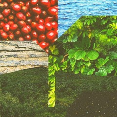 Biomes.