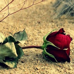 Enigma x sting desert rose.mp3