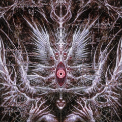 kalbinedoğruludraco!