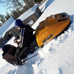 Egon Mattsson Med Fuostgangswaisa