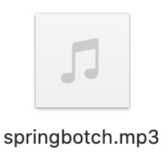 Springbotch