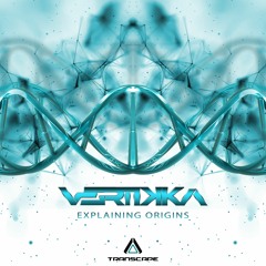 Vertikka - Explaining Origins