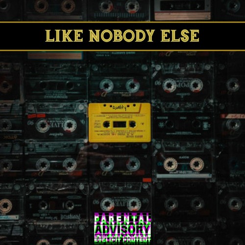 Like Nobody Else