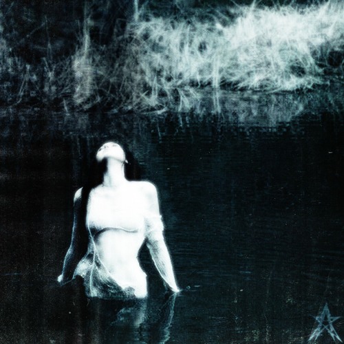 Hardrock - Mussal [Revisitingearth x Barloss] {｡･:*Pxnkio Produxions & DJ Punk4ll˚:✧｡}