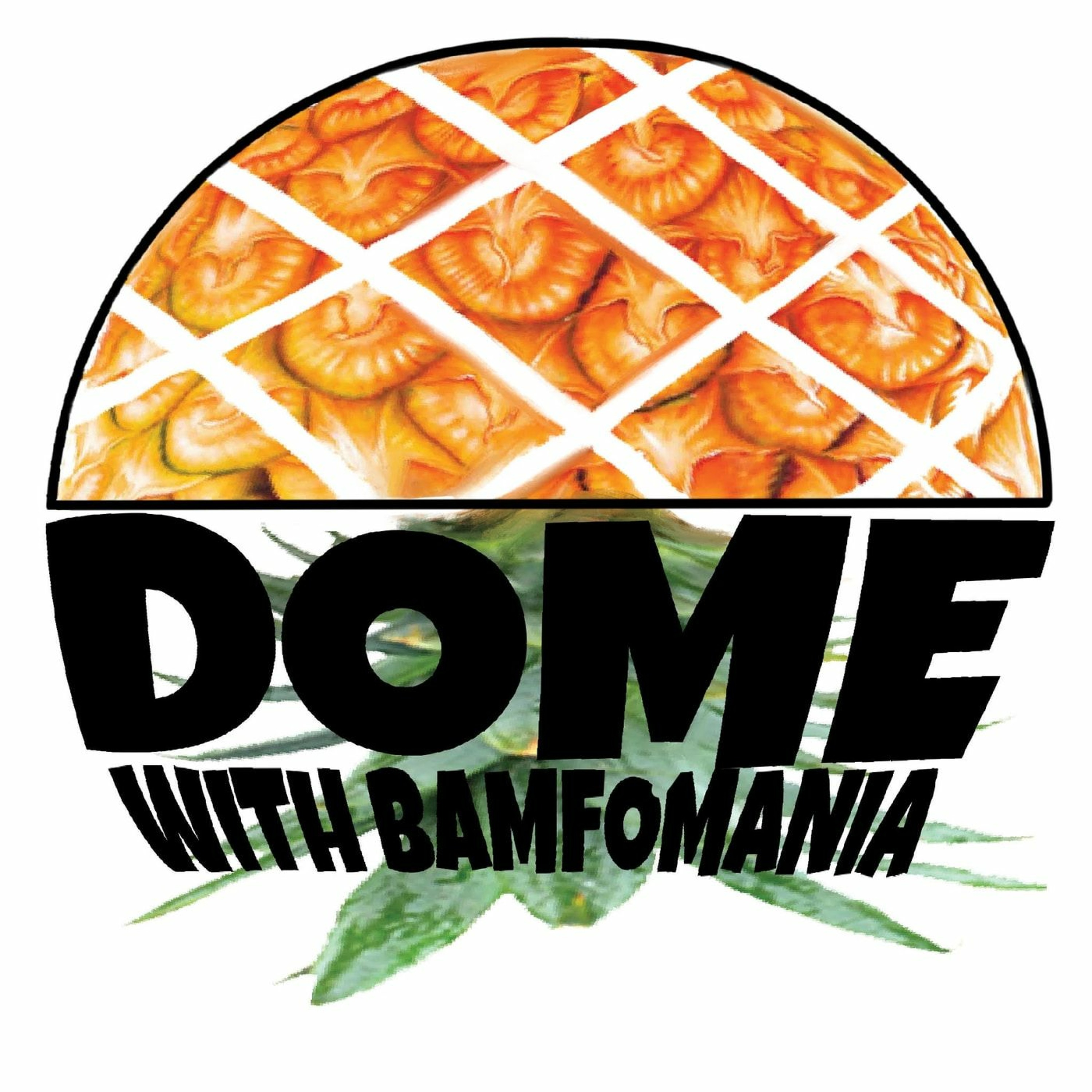 Dome with Bamfomania