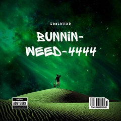 BunninWeedMp4444