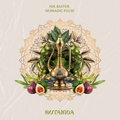 Premiere: Nik Baster ‒ Nomadic Pulse (Original Mix) [Botanica]