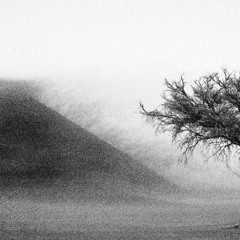 Arkanalog - Memories