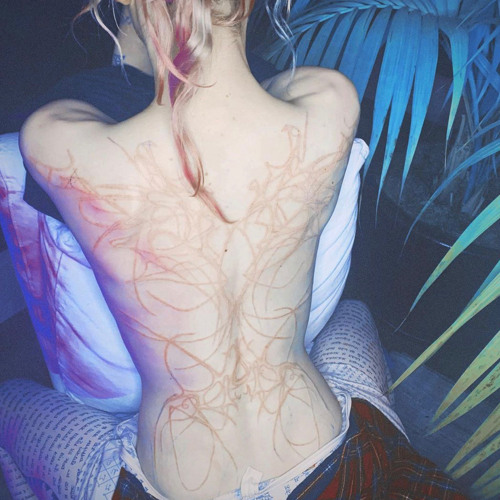 escape (travis xantana)