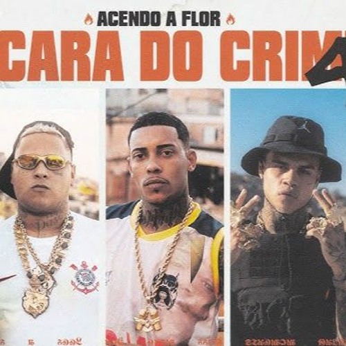 A CARA DO CRIME 4- MC POZE DO RODO, MC CABELINHO, MC RYAN SP & ORUAM