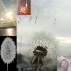 bladee + ecco - grace (sample)