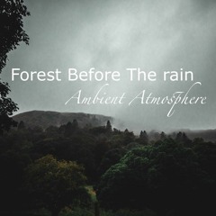 Forest Before The Rain Ambient Atmosphere (5 Min)
