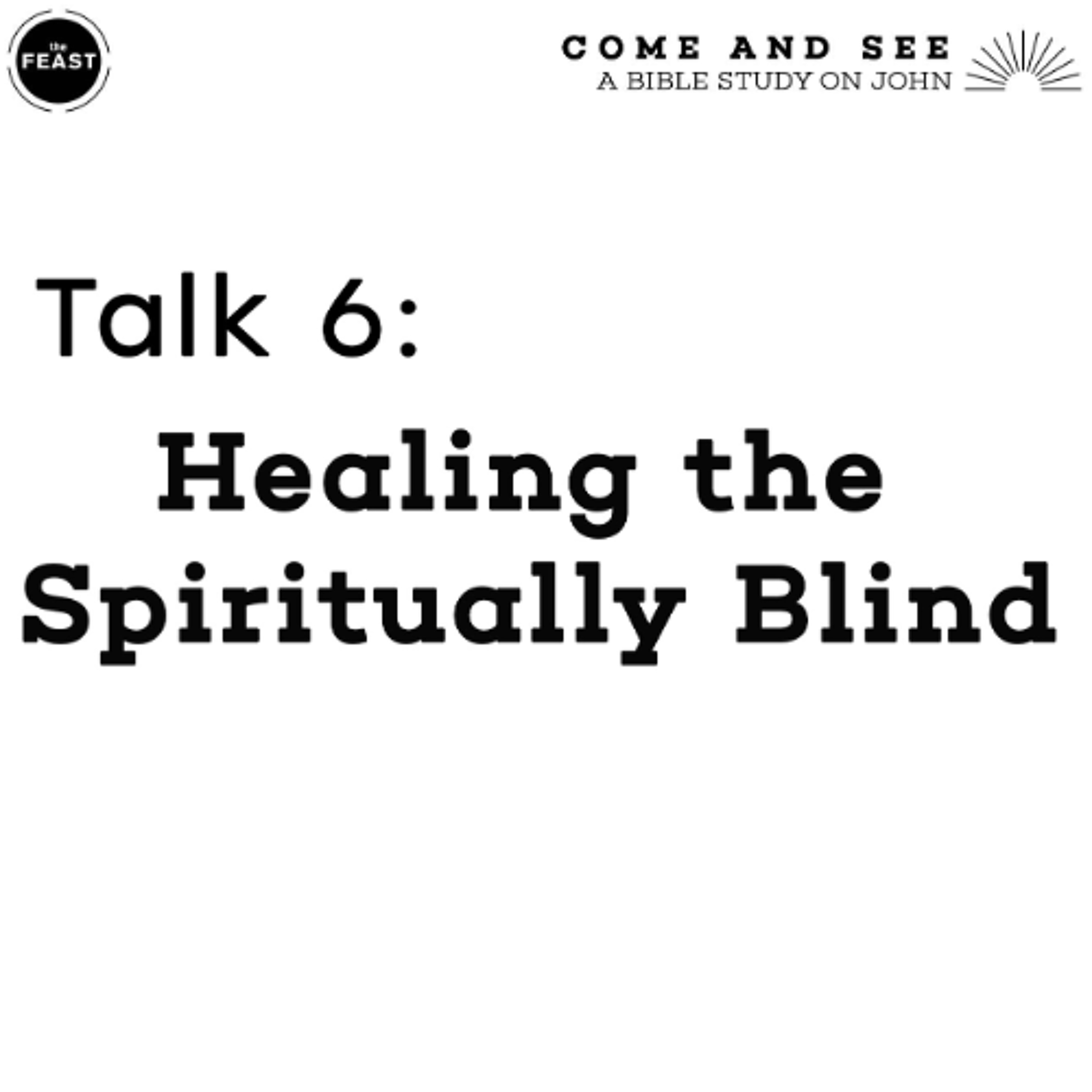 Feast Series: Come and See | Talk 6: Healing the Spiritually Blind