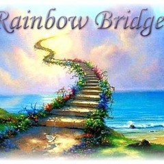 Rainbow Bridge (2020) Anthology CD1 Track 03