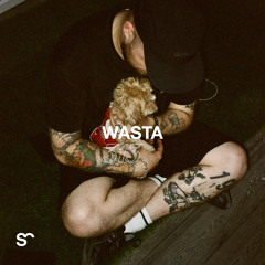 SYSTEM108 PODCAST 313: WASTA
