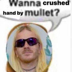 hand crushed by a mullet