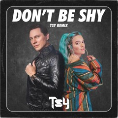 Tiësto & Karol G - Don't Be Shy (TSY Remix) Remastered
