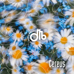 Cereus  / downtempo, baby! / # 81