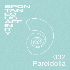 Spontaneous Affinity #032: Pareidolia