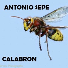 Antonio Sepe - "Calabron" (Original Mix)