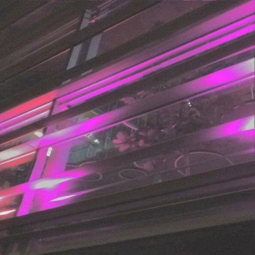 *TooManyThoughts* Ft/Prod. W95