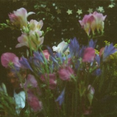 Heavenly Blue/Mourning Prayer
