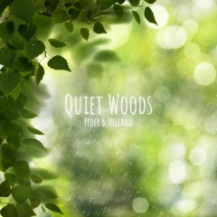 Peder B. Helland - Quiet Woods