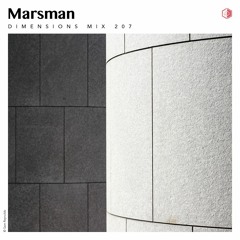 DIM207 - Marsman