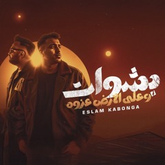 بشوات وعلى الارض عزوه