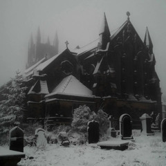 snowstorm prod.коучер по вирту