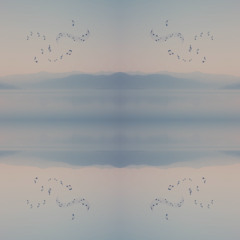 Luminous Sound Memory #317