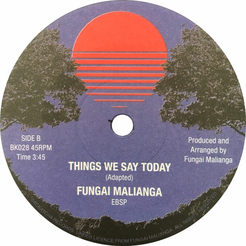 Fungai Malianga - Things We Say Today (1979)