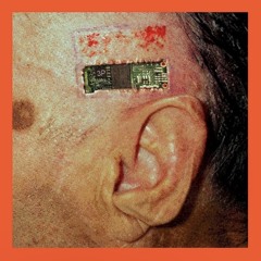 91.1MB (tainiykick)