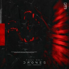 DRONES. (feat. Tremordef)