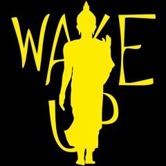shamanashum & андрій аверін (katya chilly group) - wake up • dub version