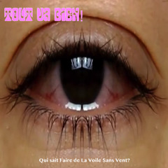 Qui Sait faire De La Voile?