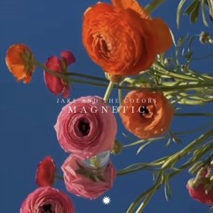 Jake and the colors - Magnetic