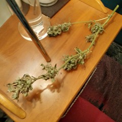 SQUIDDITCH X FLOWERPOTMAN BASSLINE MIX