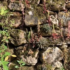 Glimmers of the Riot #4 w/ Ines Felicienne