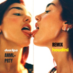 Dua Lipa - Houdini (ANML×PRTY Remix)