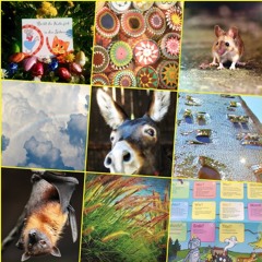 GESCHICHTEN&MUSIK für 3 Generationen & Familien (ab ca. 6 Jahren)