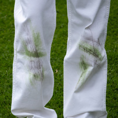 grass stains
