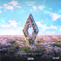 Amidy, Skybreak - Where We Begin [Skynap Remix]