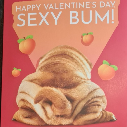 decorators anthems organ valentines