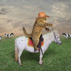 Dreams Of A Cowboy (Prod. JayRewind)