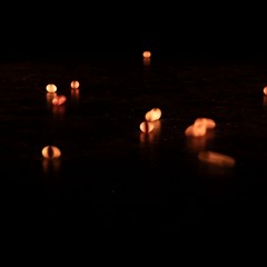 Egg Talks - walk - walk - walk