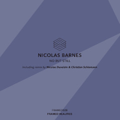 PREMIERE: Nicolas Barnes - No But Still (Nicolas Duvoisin Remix) [FRAMED028]
