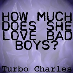 How Much Does She Love Bad Boys?