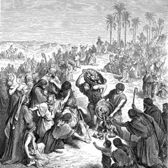 The Sunday Next Before Advent 2020: Sermon by the Rev. R. R. Tarsitano