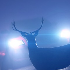 Blinding Lights (1lo Remix)